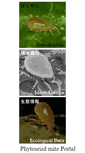 Mobile Screenshot of phytoseiidae.acarology-japan.org